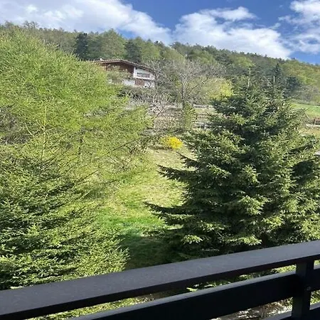 Spacious With Balcony *