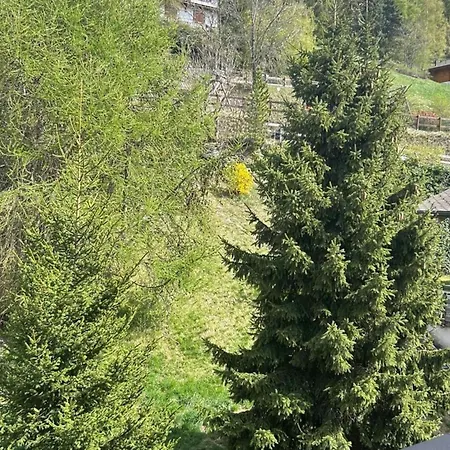 Spacious With Balcony Apartment Veysonnaz